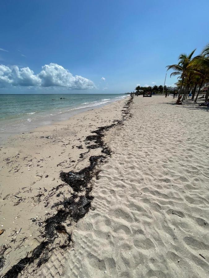 Itze Hostel Boutique - Progreso Progreso  Buitenkant foto
